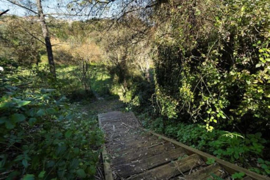 Quinta Boa Vida Villa Alcobaça Kültér fotó